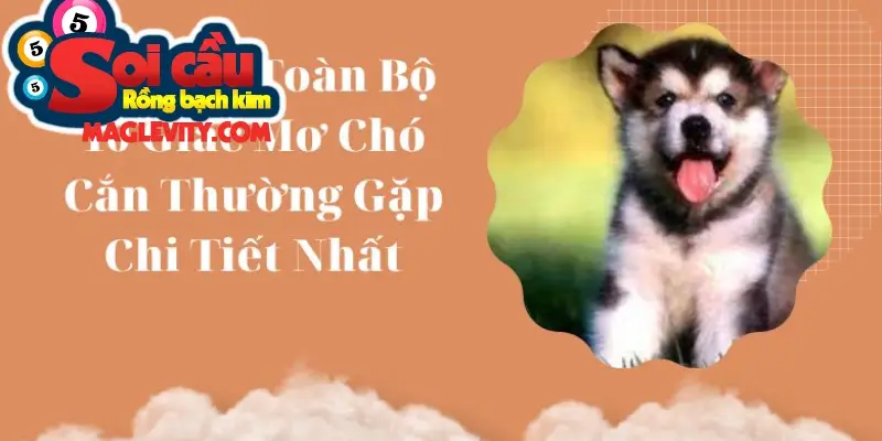 Mơ bị chó cắn và lời nhắc nhở mang tính tâm linh