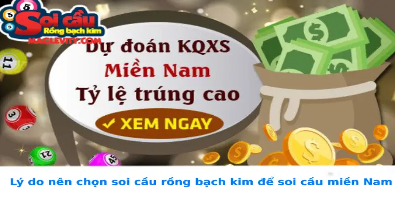 Lý do nên chọn soi cầu rồng bạch kim để soi cầu miền Nam