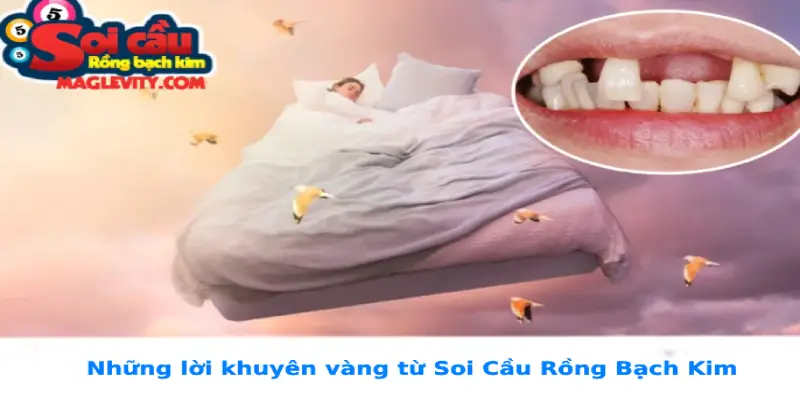 Những lời khuyên vàng từ Soi Cầu Rồng Bạch Kim